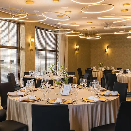 Hotel DeSilva Premium Opole-3